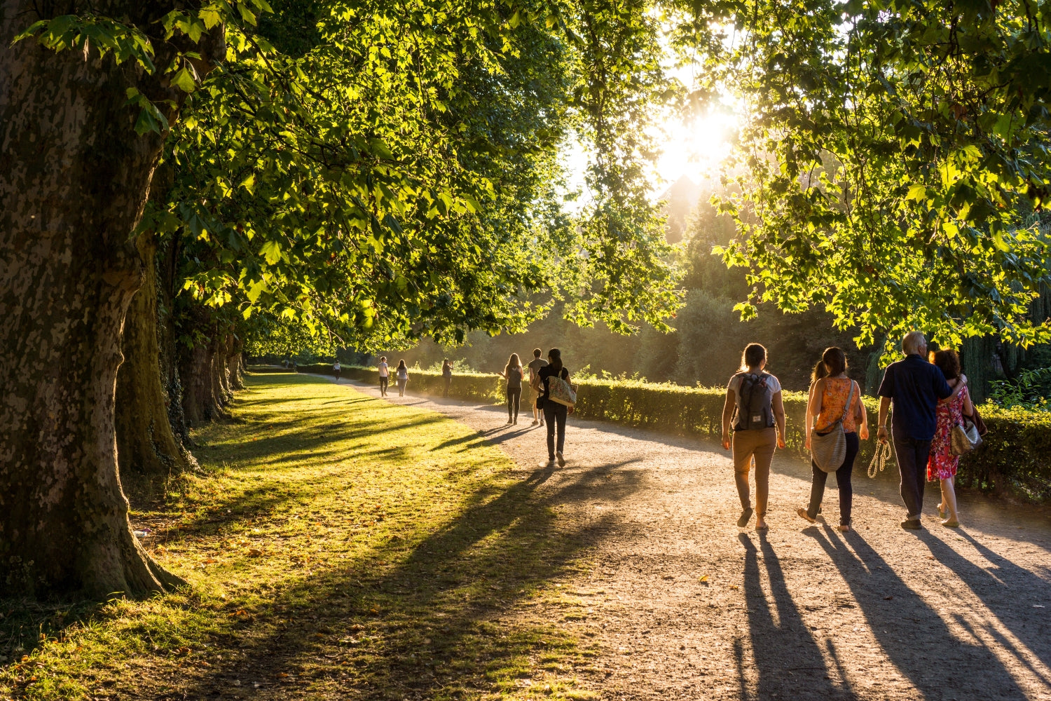 Persone che passeggiano lungo un viale alberato in un parco al tramonto, con luce dorata che filtra tra le foglie.