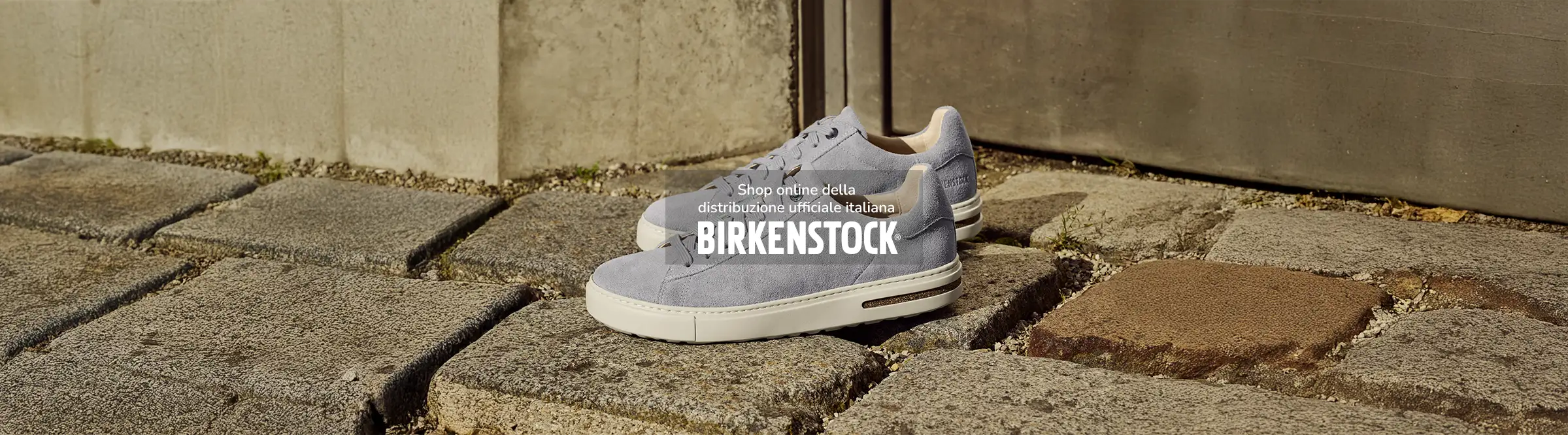 Primo piano di bend low grigie su pavimento di pietra