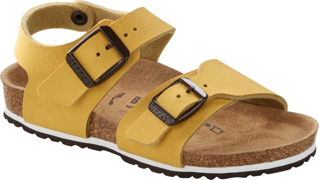 New York desert soil vibrant curry, Birko Flor