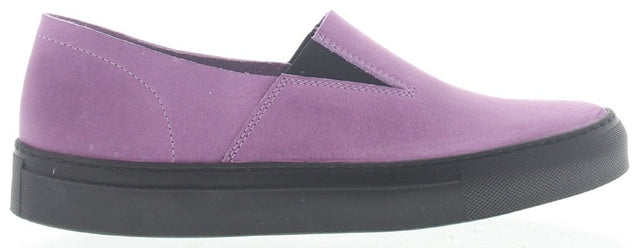 Zomerdijk violet, Pull-up