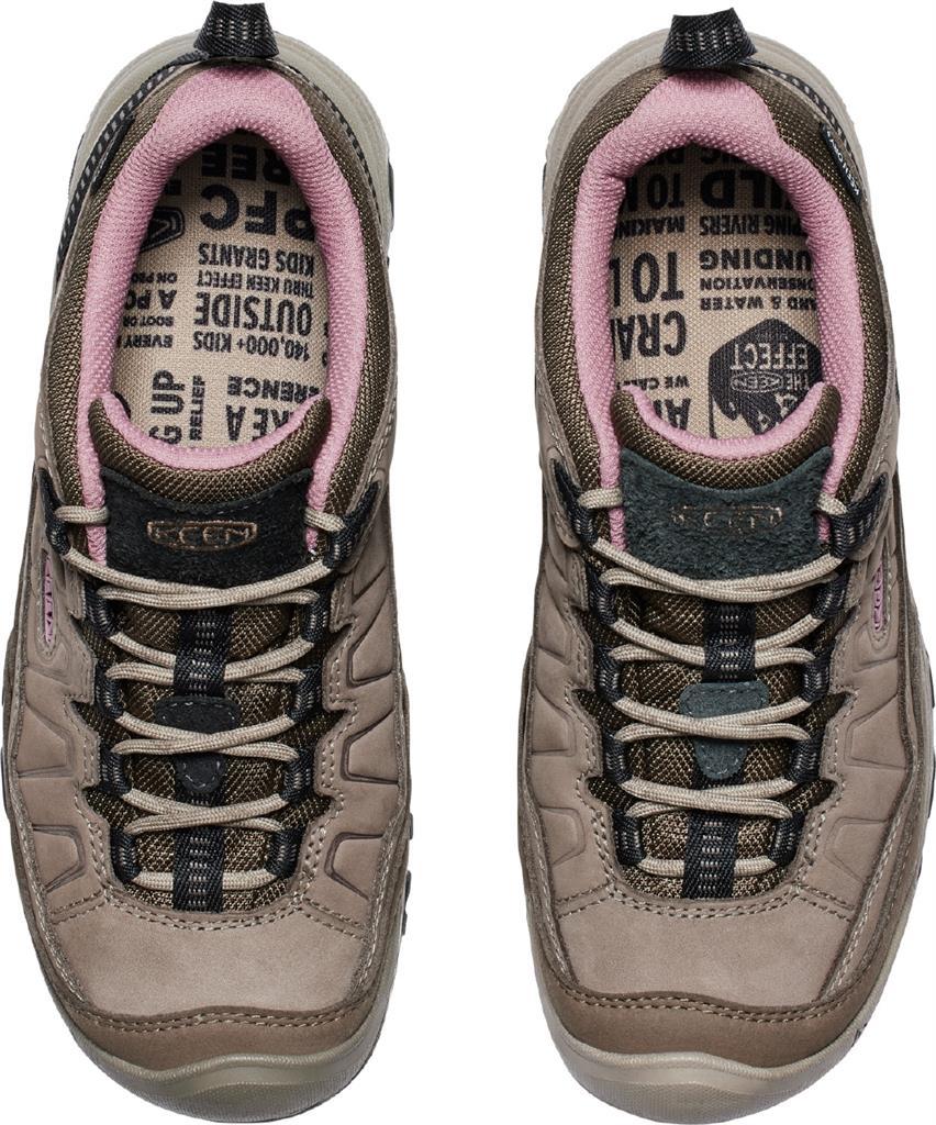 Targhee IV Wp W-Brindle/Nostalgia Rose