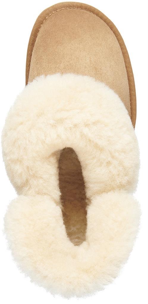 Platinum Mintaro chestnut