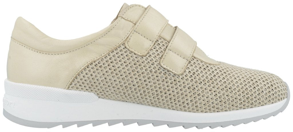 Ivrea sand, Stretchoffida/Nube