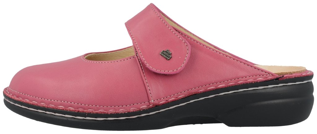 Stanford azalea, Nube