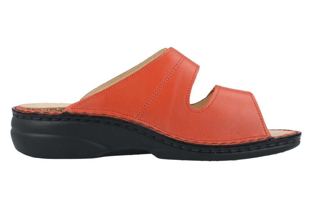 Sansibar flame, Nube