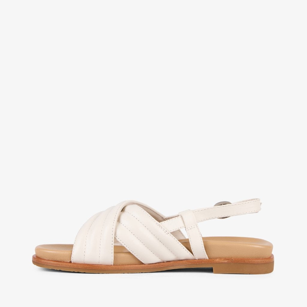 Borradaile coconut