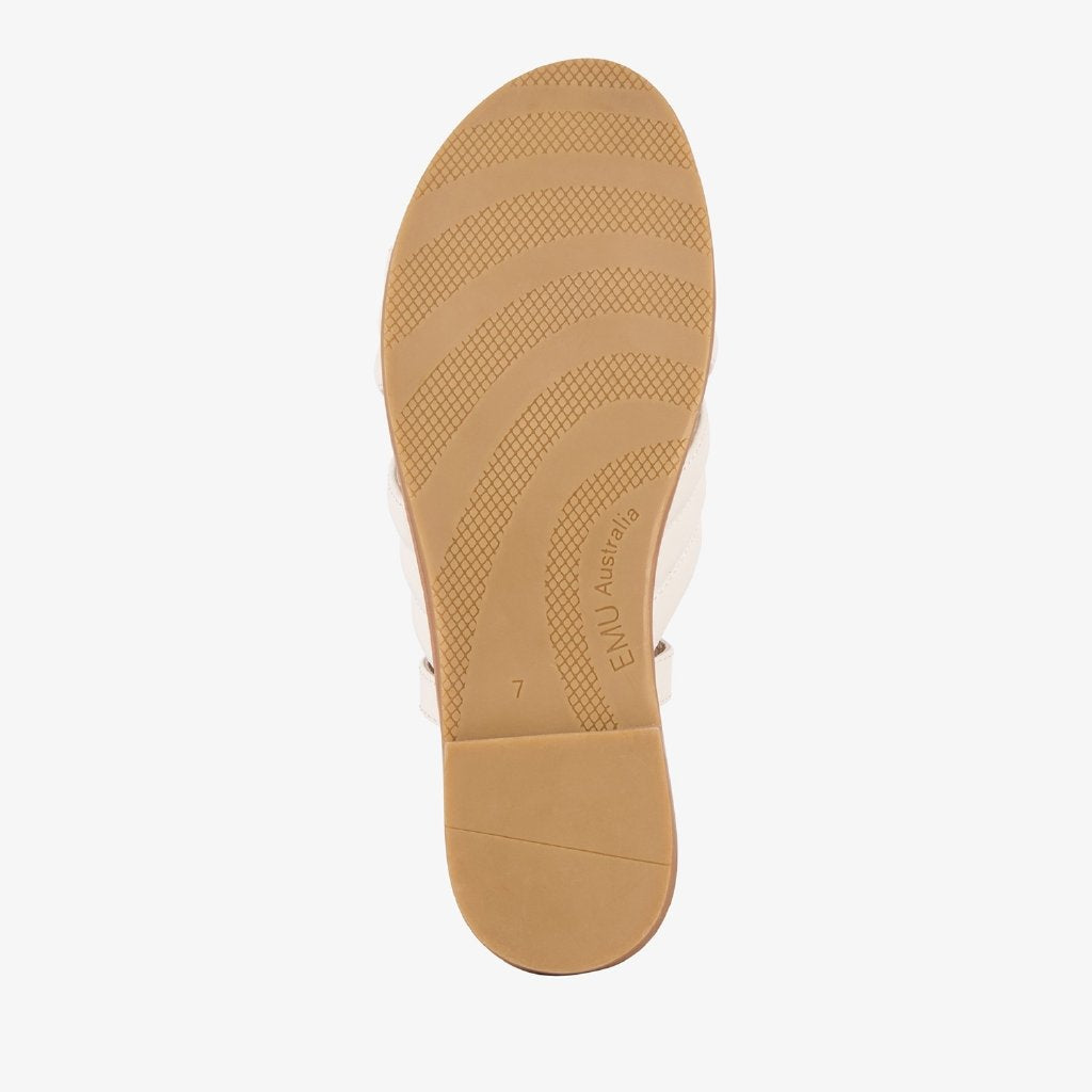 Borradaile coconut