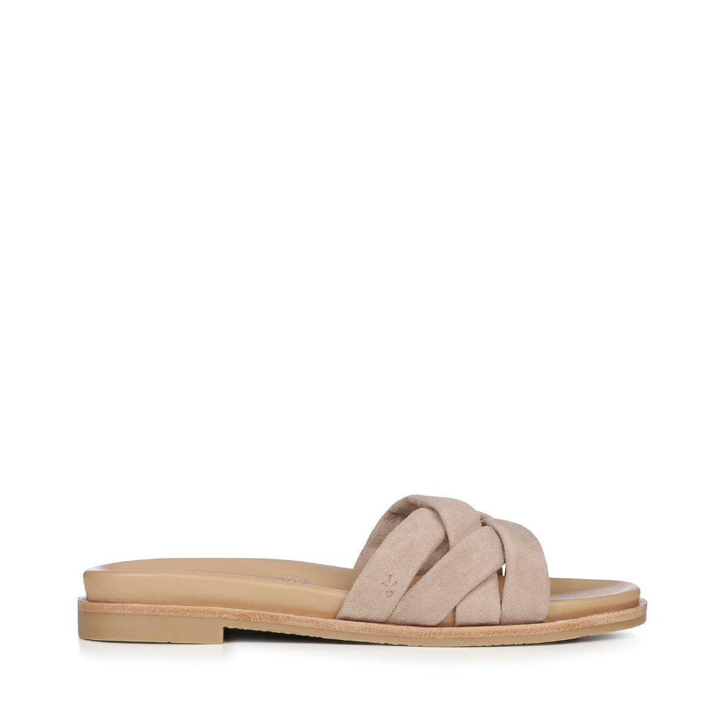 Ikara camel