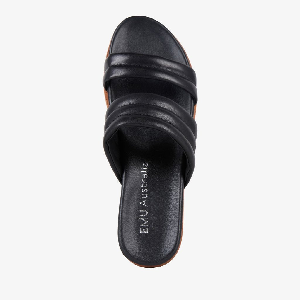 Bondi black