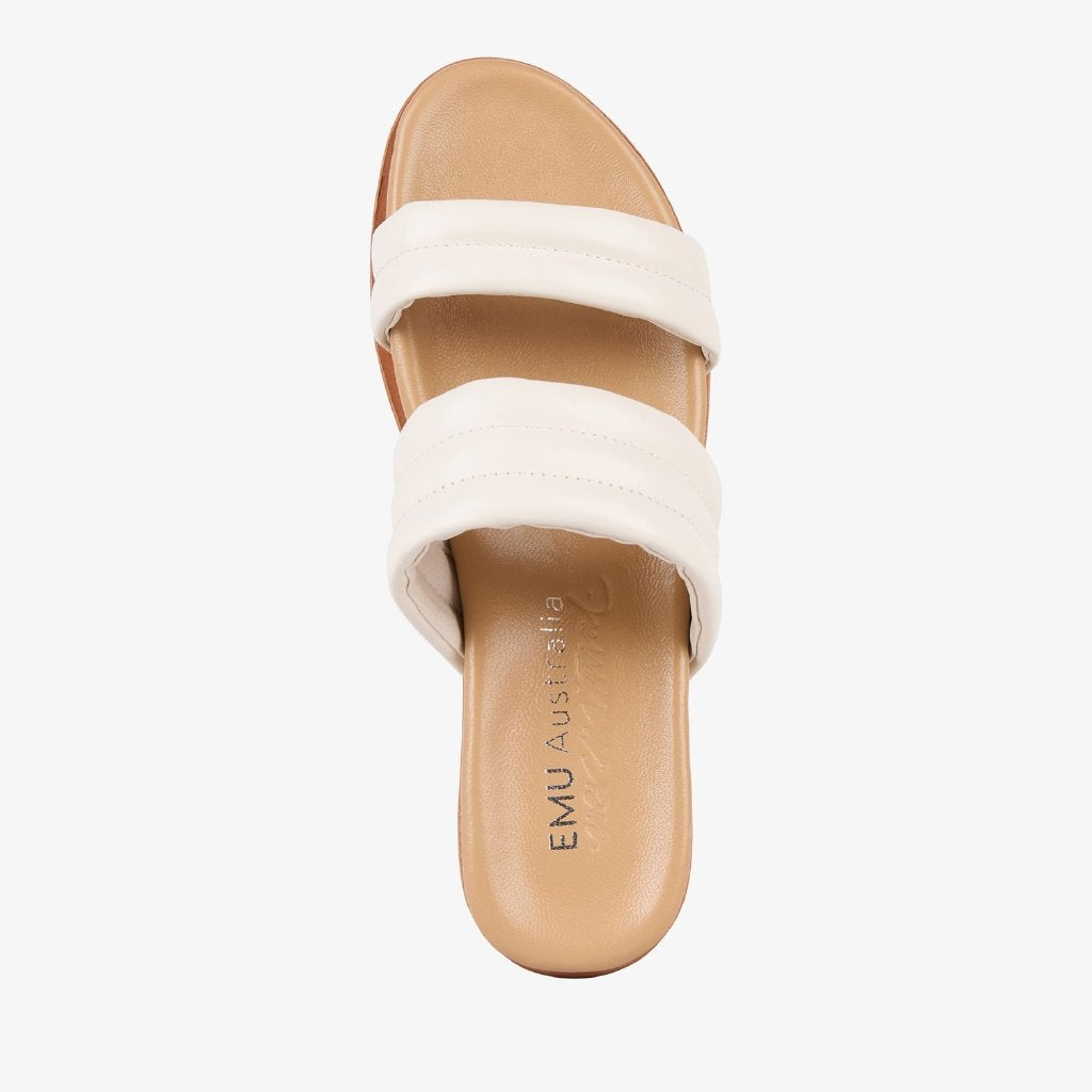 Bondi coconut