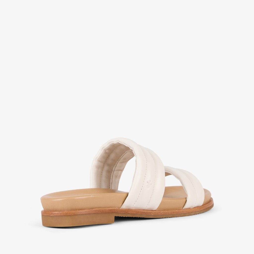 Bondi coconut