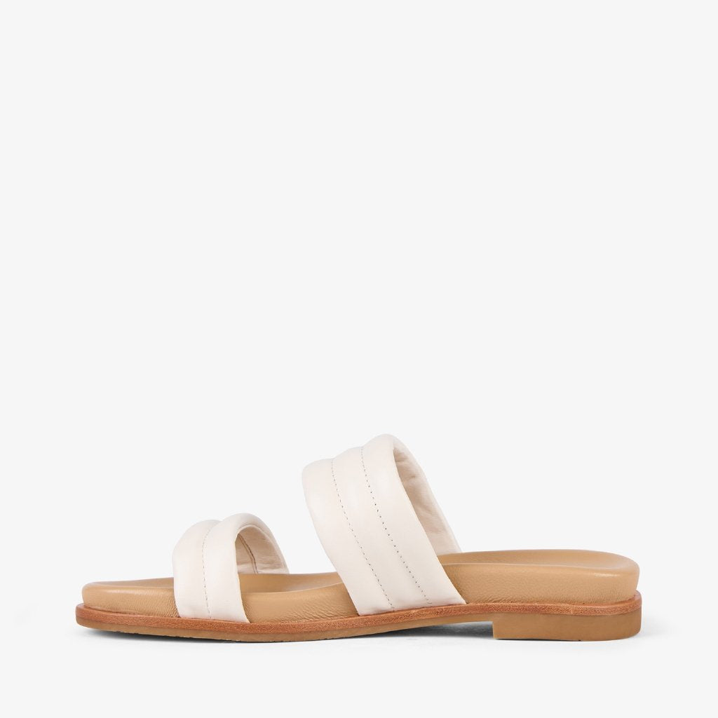 Bondi coconut