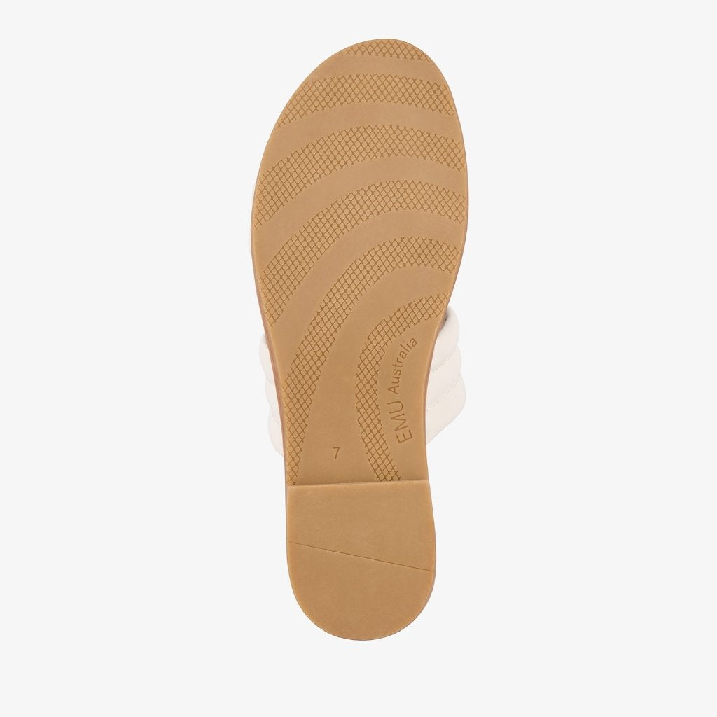 Bondi coconut