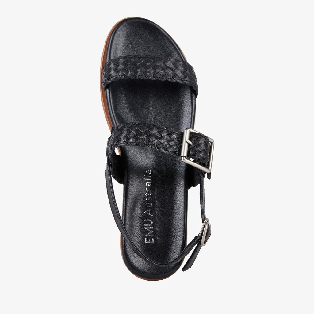 Hyams black