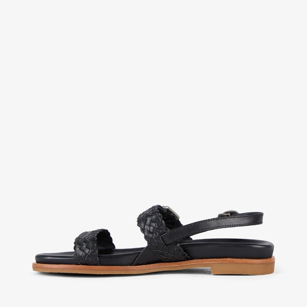 Hyams black