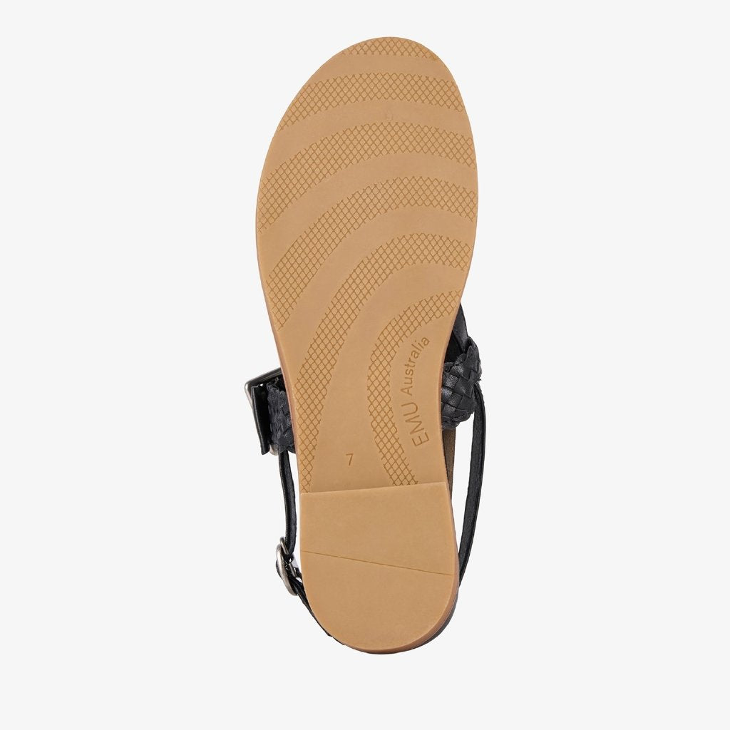Hyams black