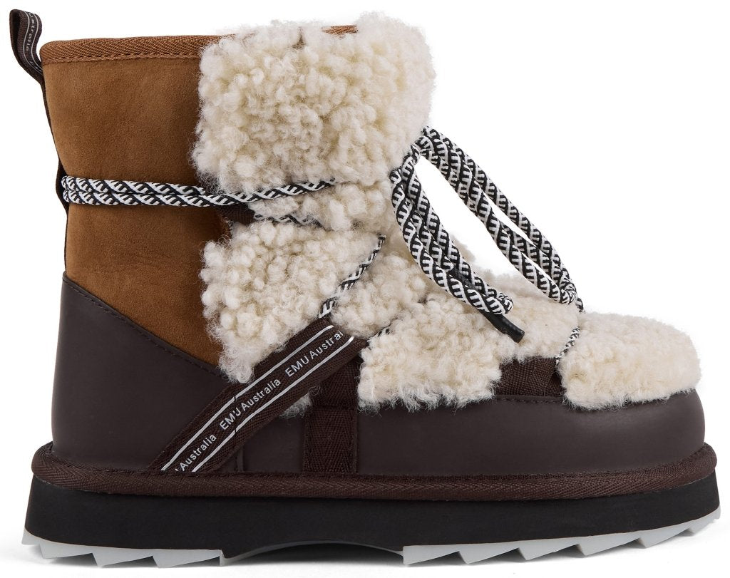 Blurred Teddy chestnut