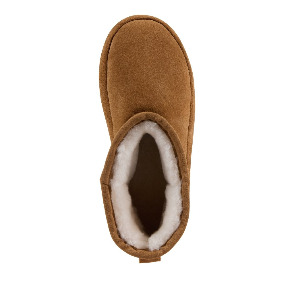 Sia chestnut