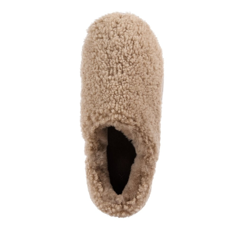 Aston mushroom