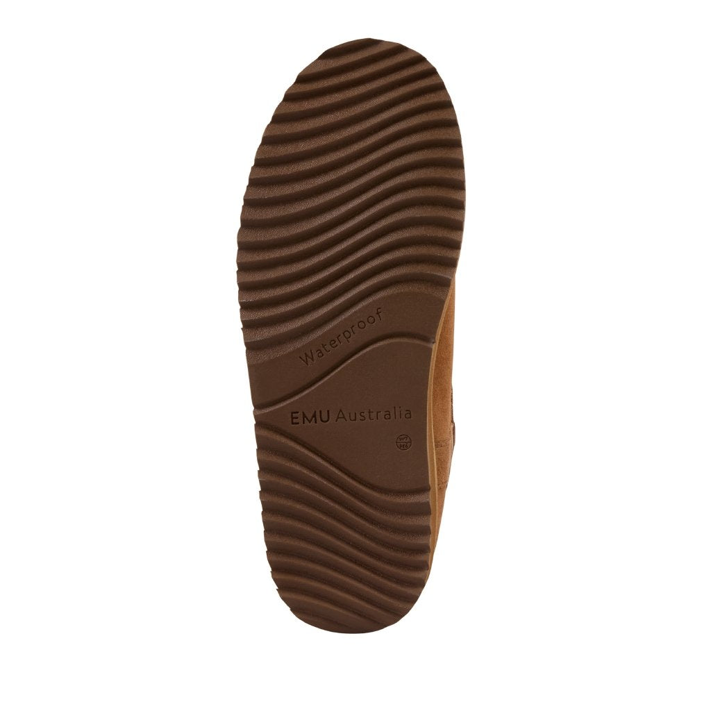 Banks chestnut