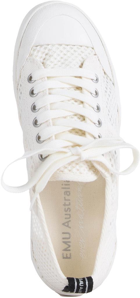 Hosier Breeze coconut