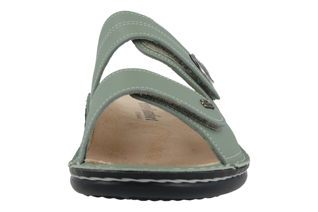 Sansibar musk, Bridge