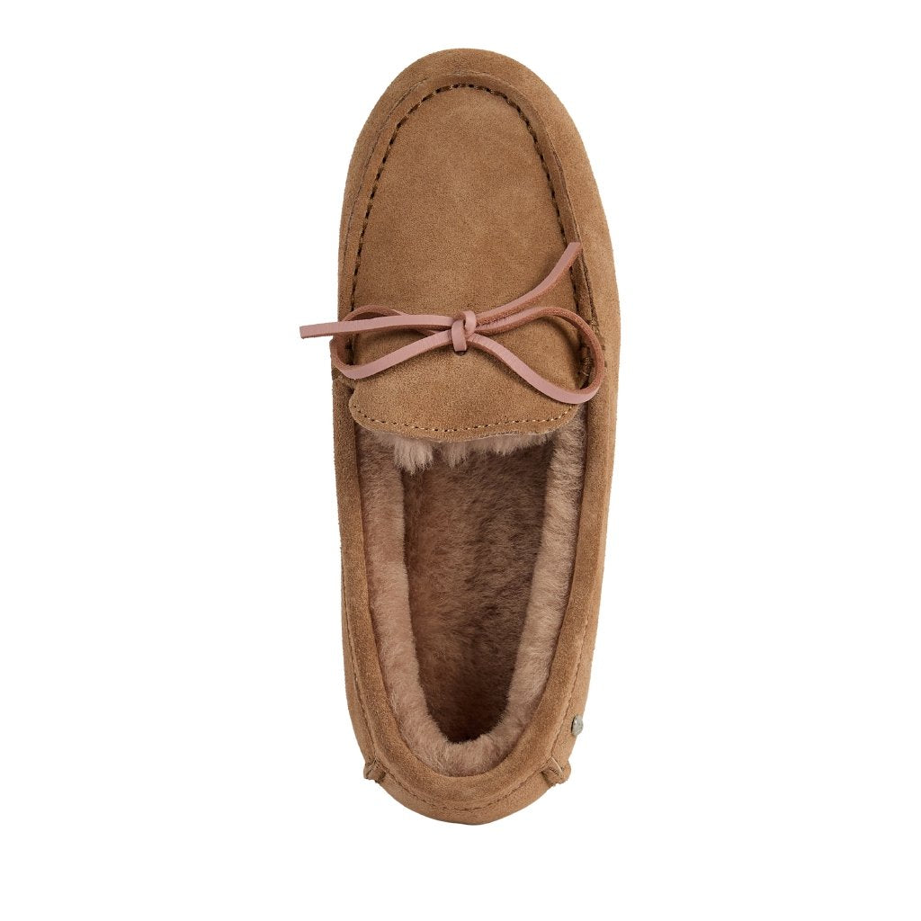 Sandrine camel