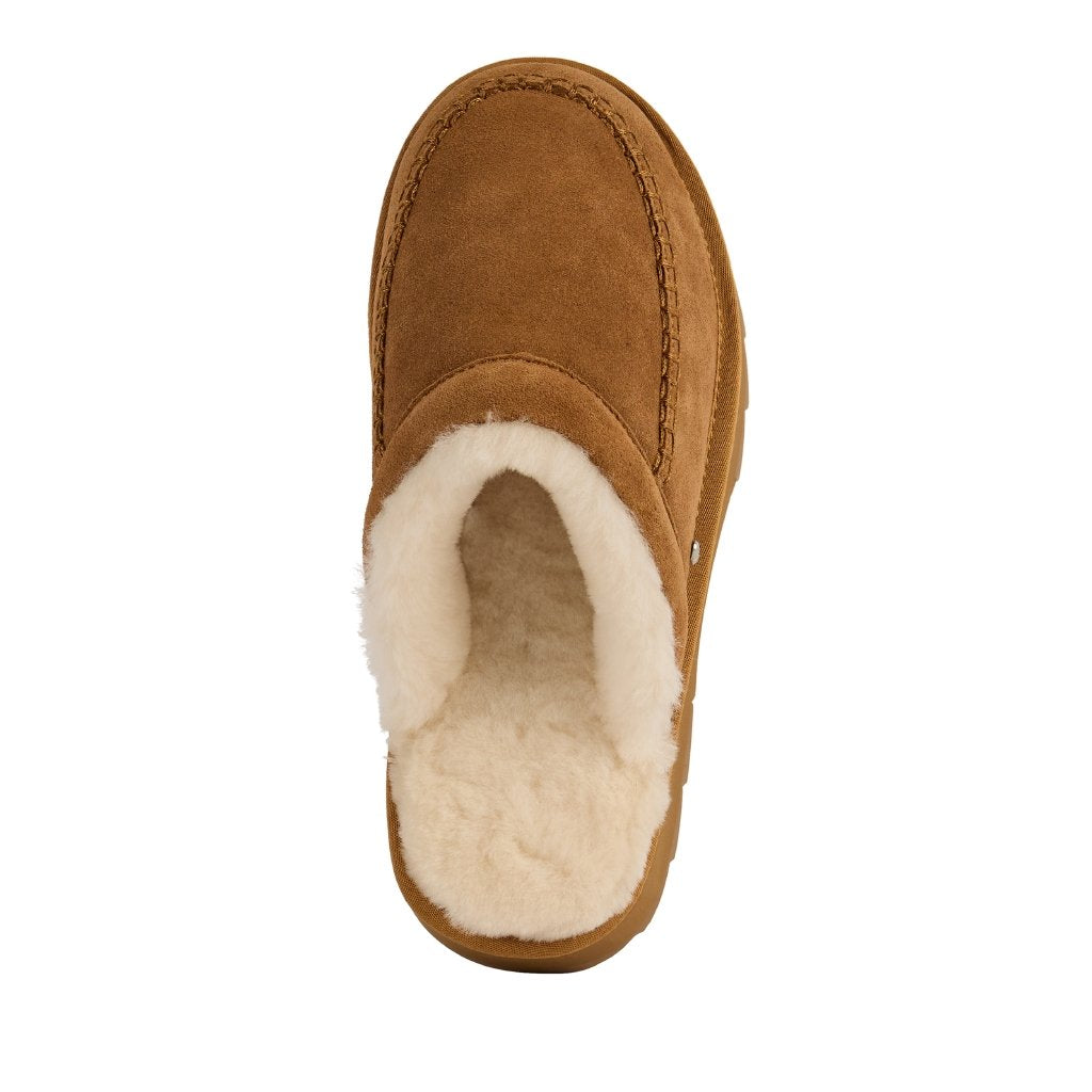 Sharky Slide chestnut