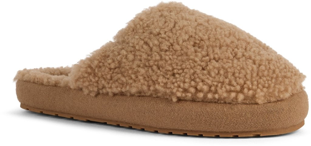 Starley camel