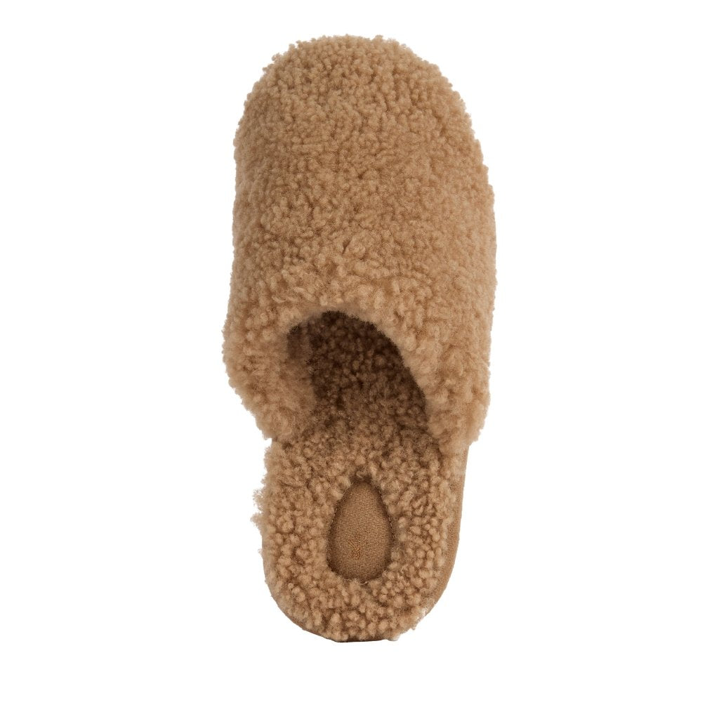 Starley camel