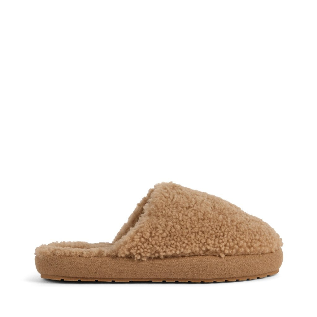 Starley camel