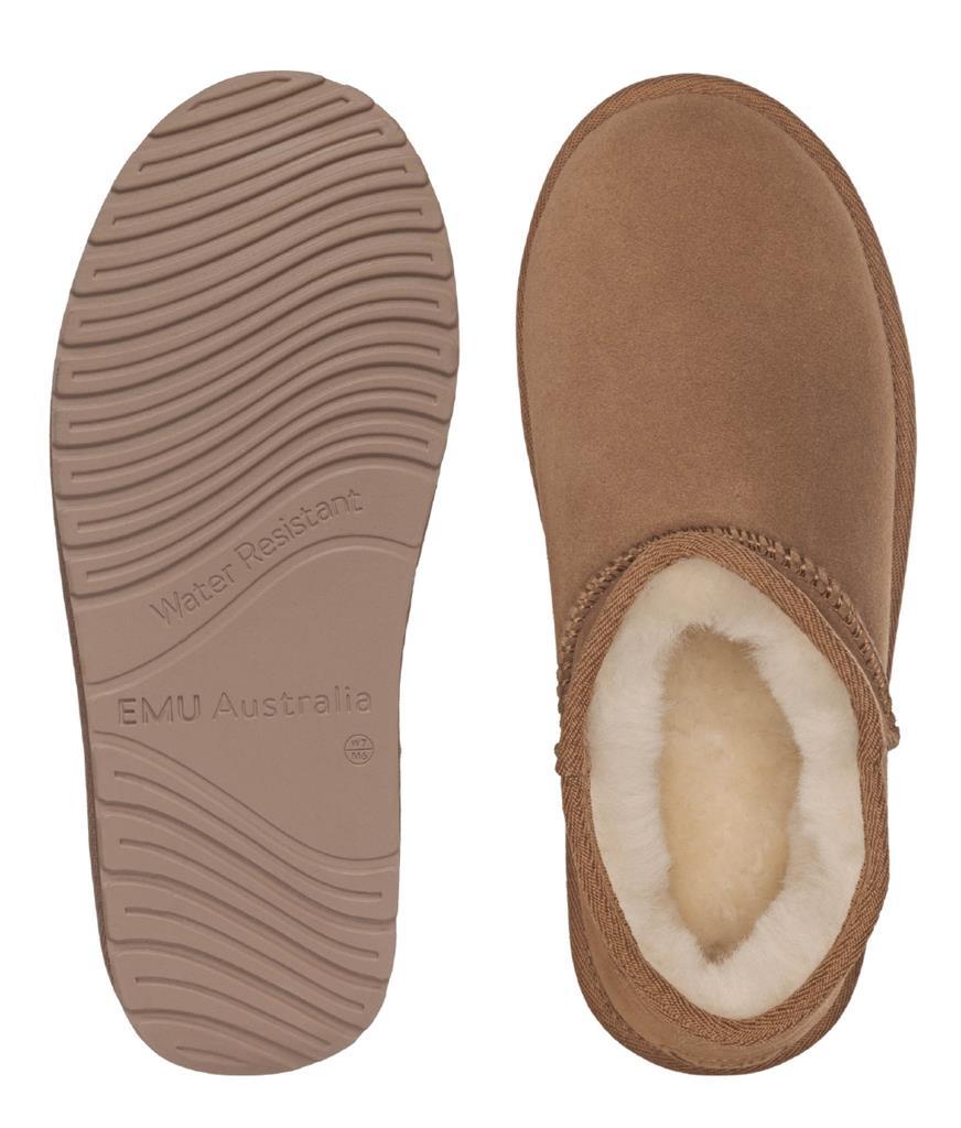 Stinger Compact Chestnut